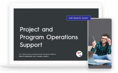 Project and Program Operations Support