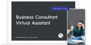 Business Consultant Virtual Assistant Role Description